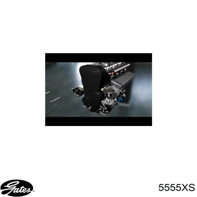 Correa de distribución Gates 5555XS precio, desde 50,22 EUR
