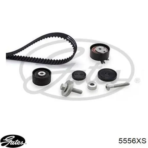 Correa de distribución Gates 5556XS precio, desde 141,87 EUR