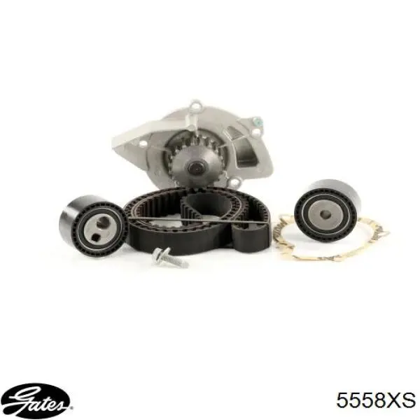 Correa de distribución Gates 5558XS precio, desde 81,46 EUR