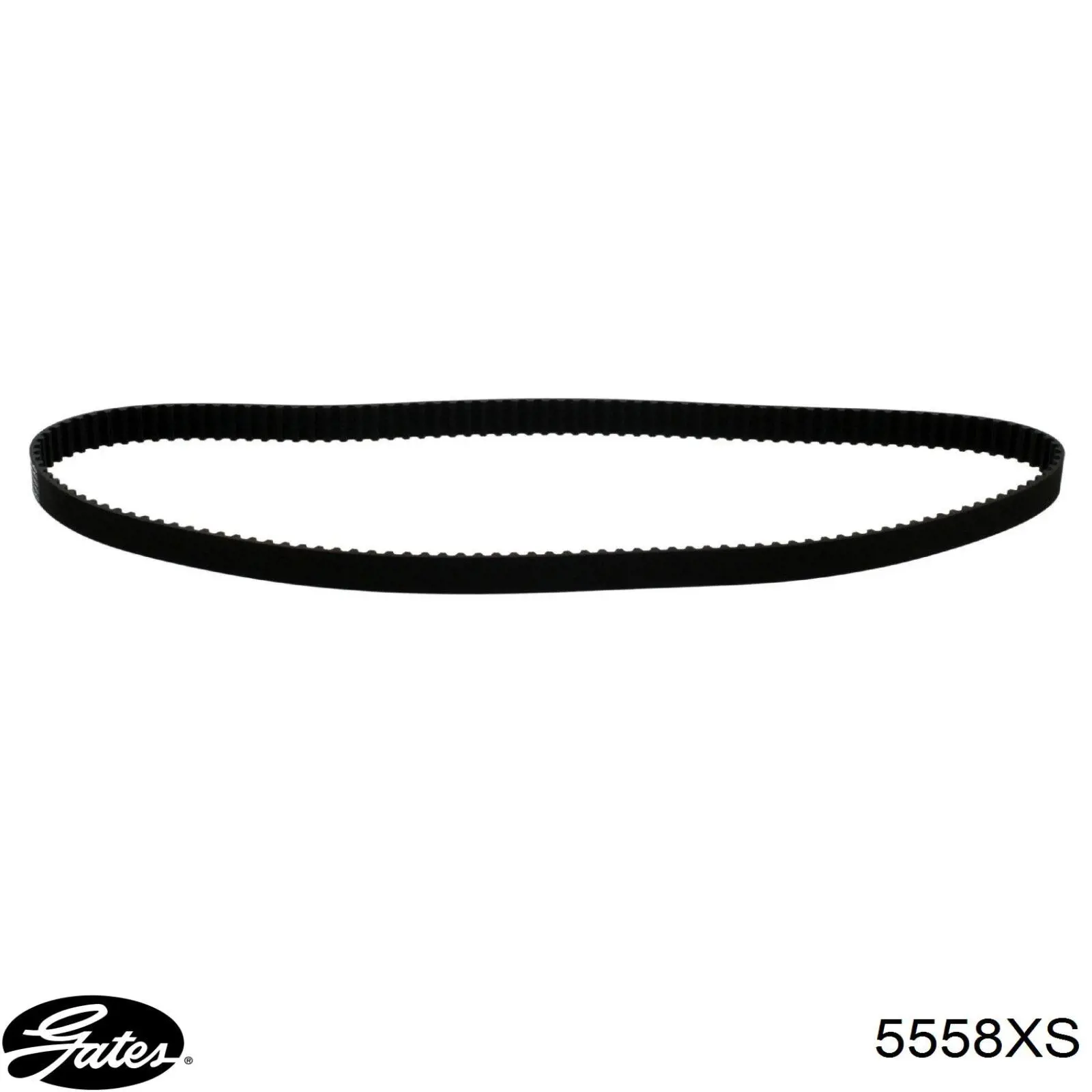 Correa distribución 5558XS Gates