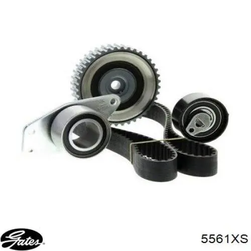 Correa de distribución Renault (RVI) 8660001605 precio, desde 45,20 EUR