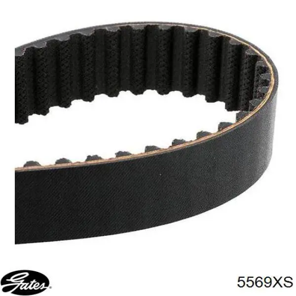 Correa de distribución Gates 5569XS precio, desde 34,61 EUR