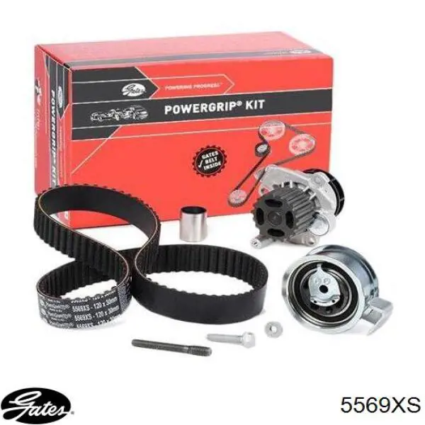 Correa de distribución Triscan 86455569XS precio, desde 48,78 EUR