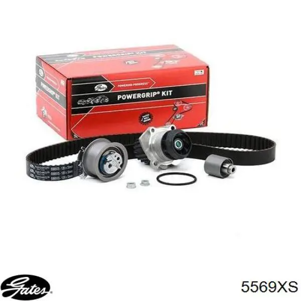 Comprar 86455569XS Triscan Correa distribución