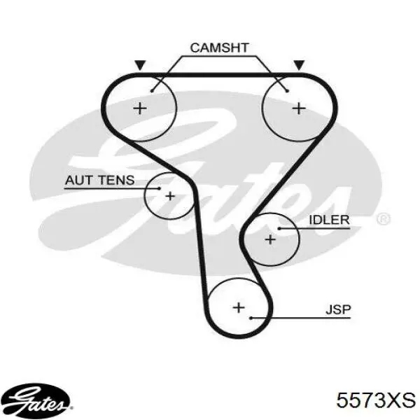 5573XS Gates Correa dentada
