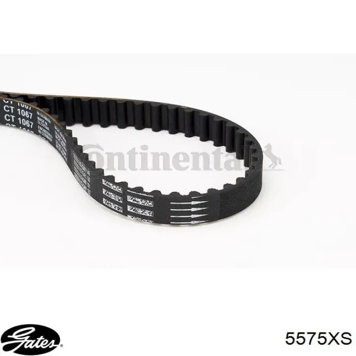 Correa de distribución Gates 5575XS precio, desde 16,64 EUR