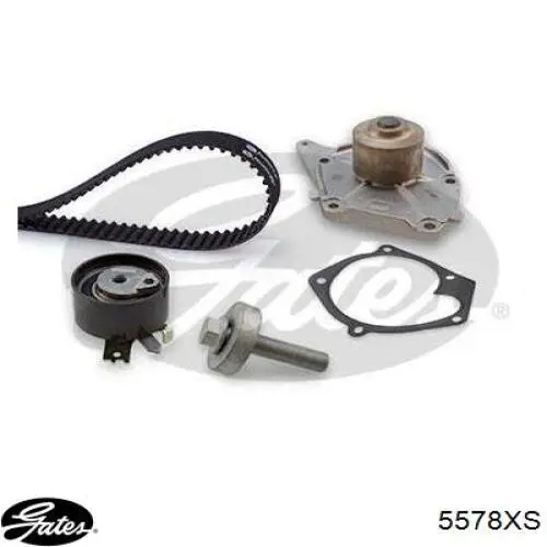Comprar 13028BN700 Nissan/Infiniti Correa distribución