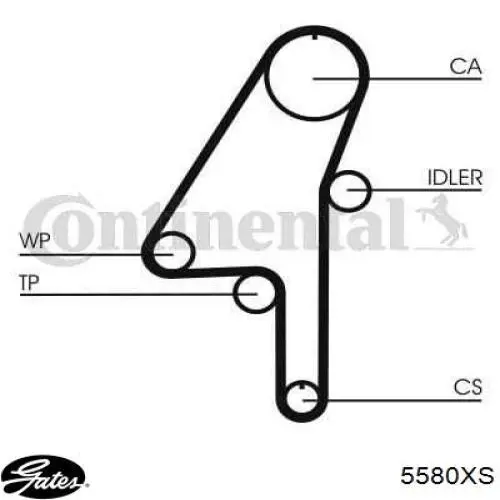 Correa distribución 5580XS Gates