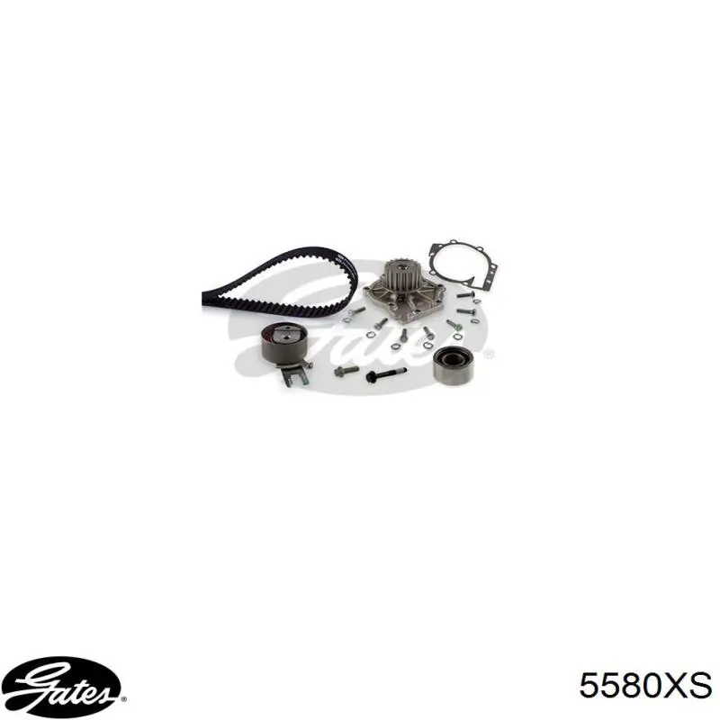 5580XS Gates Correa dentada