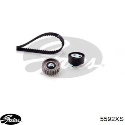 CT1057 Continental/Siemens Correa dentada