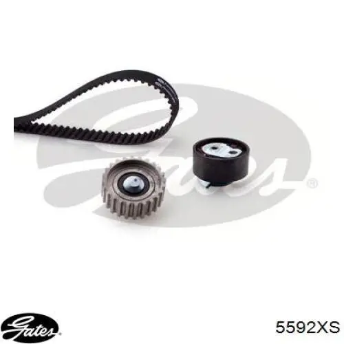 Correa de distribución Continental/Siemens CT1057 precio, desde 54,09 EUR