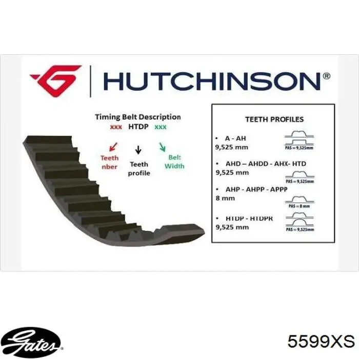 Correa distribucion Ford Fiesta JH, JD