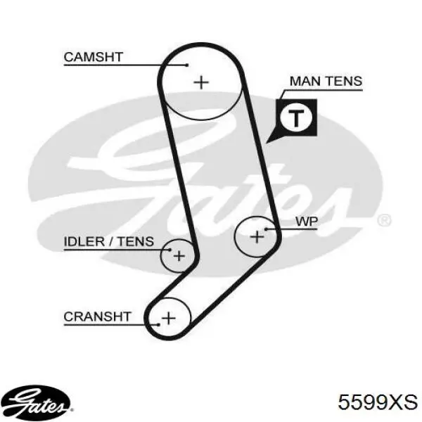Correa distribucion Ford Fiesta JH, JD