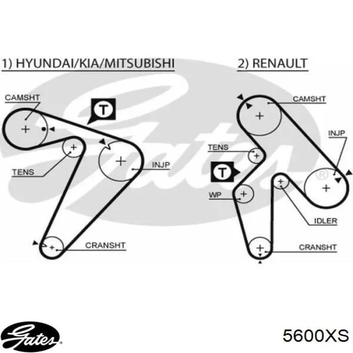Comprar 0046791189 Fiat/Alfa/Lancia Correa distribución