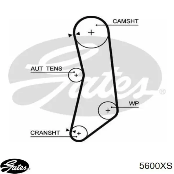 Comprar 0046791189 Fiat/Alfa/Lancia Correa distribución