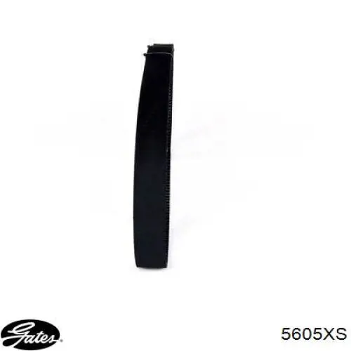 Comprar 06C109119C VAG Correa distribución