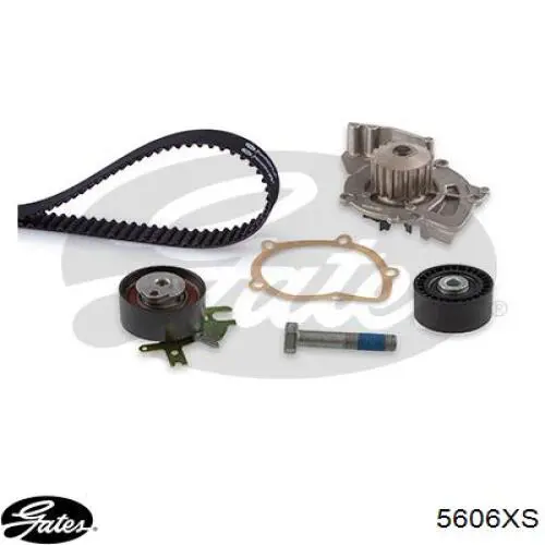 Comprar 00000816G3 Peugeot/Citroen Correa distribución