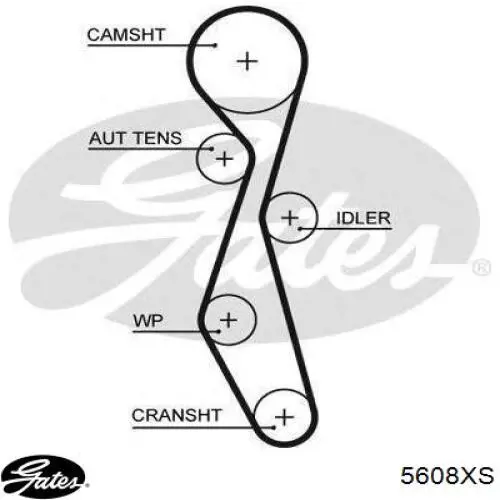 Correa distribución 5608XS Gates