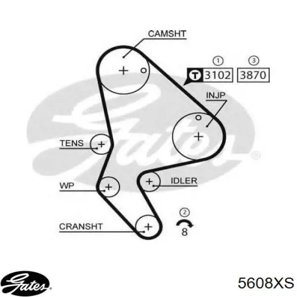 9647367480 Peugeot/Citroen Correa dentada