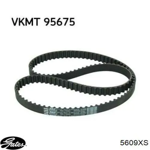 5609XS Gates Correa dentada