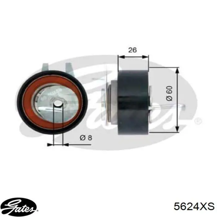 Comprar 5624XS Gates Correa distribución