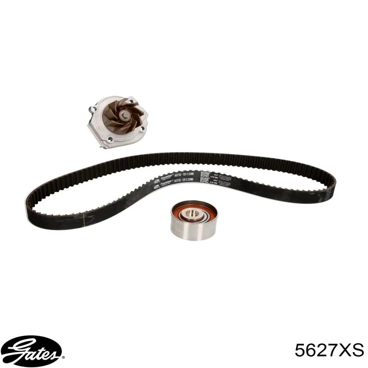 Comprar 55217612 Fiat/Alfa/Lancia Correa distribución