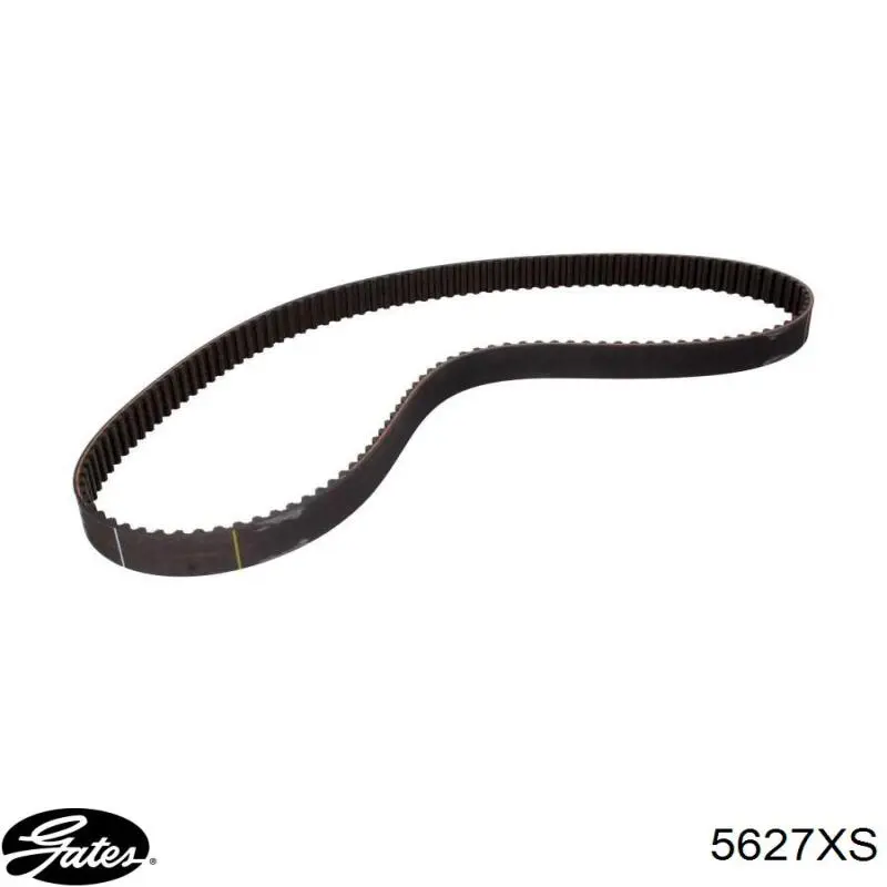 Correa distribución 71753156 Fiat/Alfa/Lancia