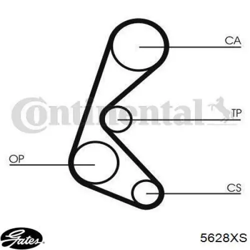 5628XS Gates correa distribucion