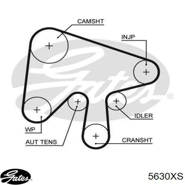Correa distribución RF7J12205 Mazda