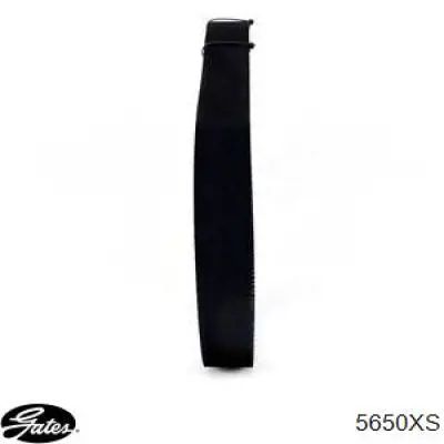 Comprar 5650XS Gates Correa distribución