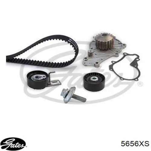 Correa de distribución Gates 5656XS precio, desde 28,96 EUR