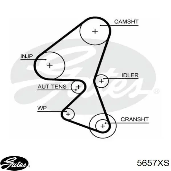 9672089580 Peugeot/Citroen correa distribucion