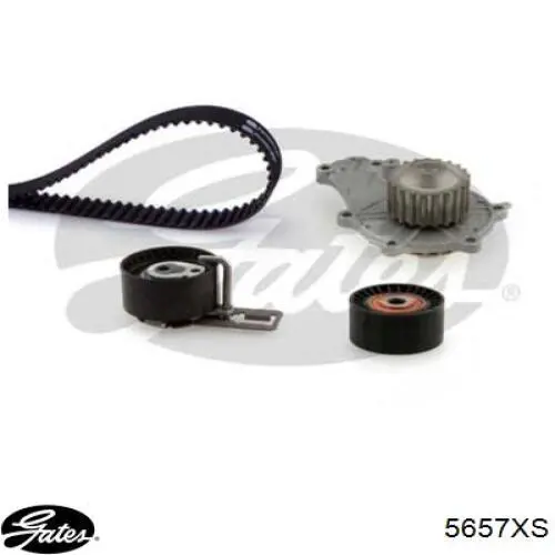 Correa de distribución Ford AV2Q6K288BA precio, desde 53,18 EUR