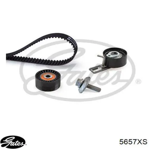 Comprar AV2Q6K288BA Ford Correa distribución