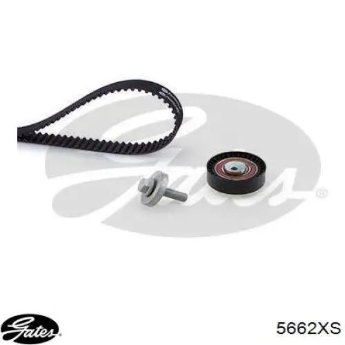 Comprar 5662XS Gates Correa distribución