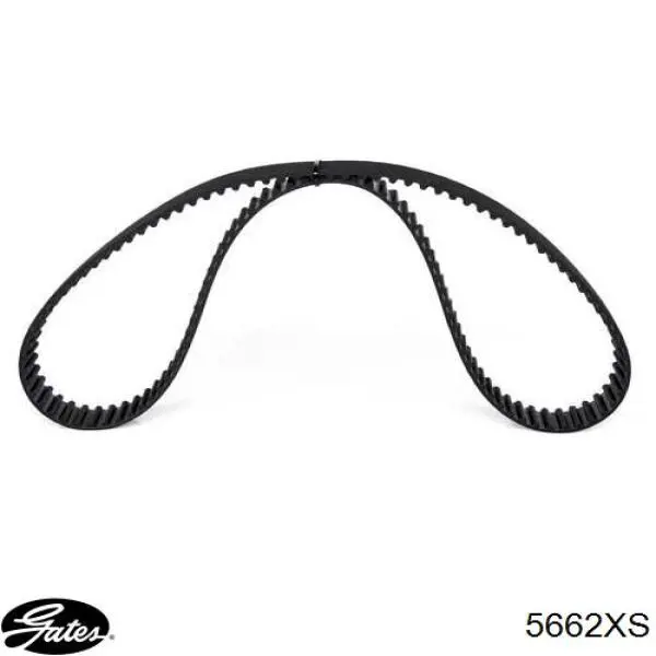 Correa de distribución Gates 5662XS precio, desde 22,14 EUR