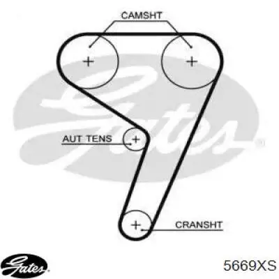 Correa distribución 5669XS Gates