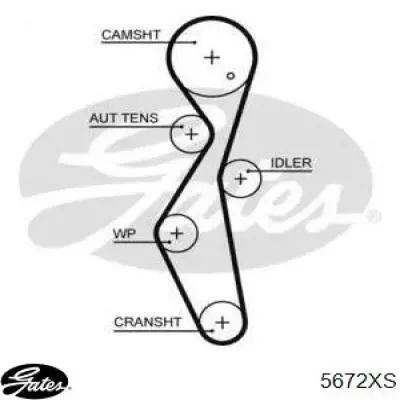 Correa distribución 116HTDPT25 Hutchinson