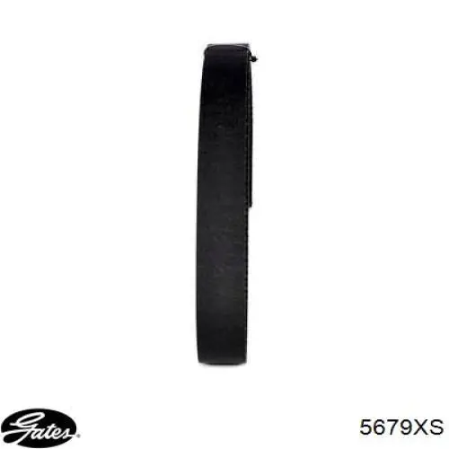 Comprar 5679XS Gates Correa distribución