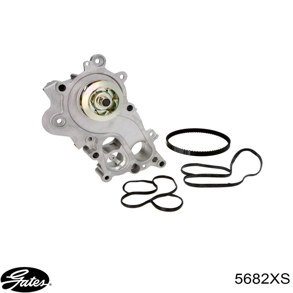 Correa de alternador 49236 Febi