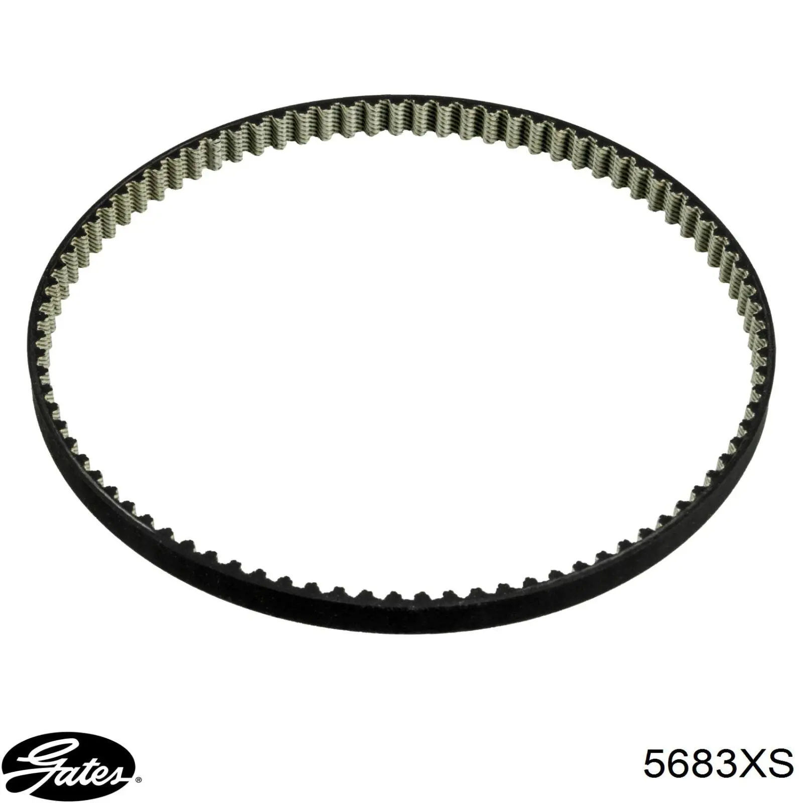 Correa de distribución Hutchinson 087HTDP10 precio, desde 10,57 EUR