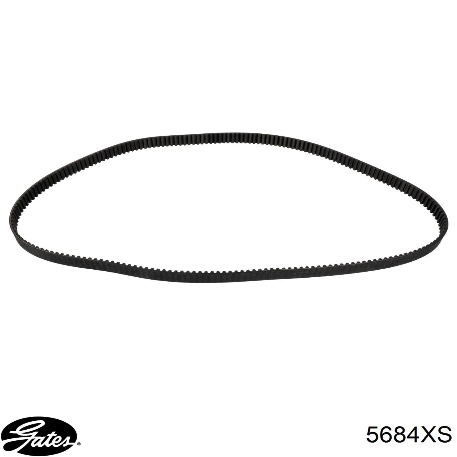 Correa de distribución Opel 636438 precio, desde 46,62 EUR