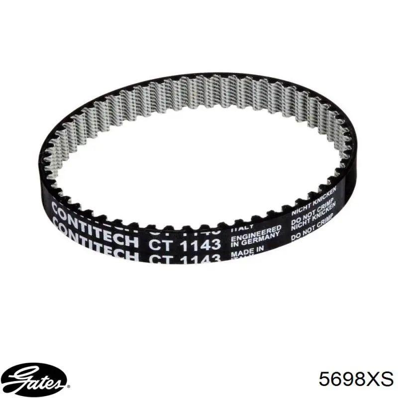 Correa de transmisión trapezoidal Borsehung B10231 precio, desde 16,52 EUR