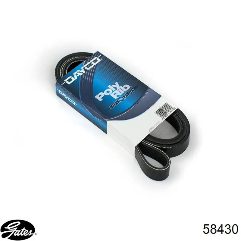 Correa de alternador STC4455 Hyundai/Kia