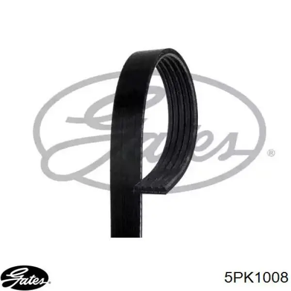 Correa de transmisión trapezoidal Gates 5PK1008 precio, desde 13,23 EUR