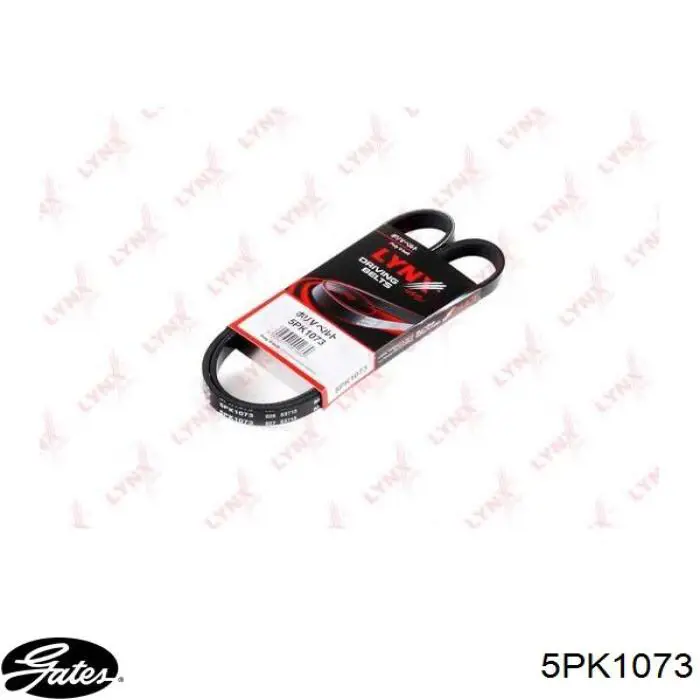 Comprar 5PK1075 Dongil Correa trapezoidal