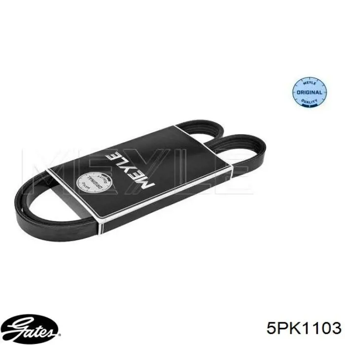 11288573418 BMW Correa poly v