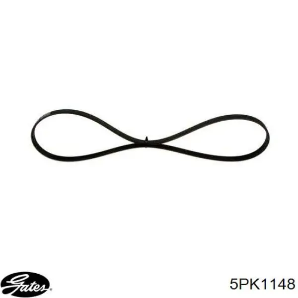 55193795 Fiat/Alfa/Lancia Correa poly v