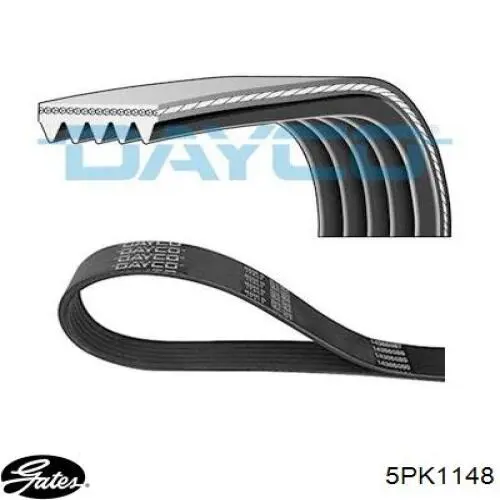 Correa accesorios Fiat/Alfa/Lancia 55193795