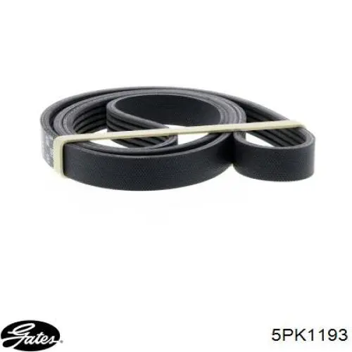 Comprar 5PK1193 Gates Correa trapezoidal